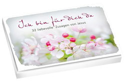 Image of German Photo Cards: Ich bin fuer dich da: 32 liebevolle Zusagen von Jesus