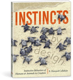 Image of Instincts by Design
