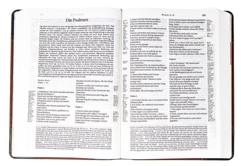 Product 180-1031 - View 1 180-1031 Product Image 1