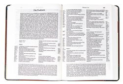 Image of Die Bibel Schlachter Version 2000 -#255.033