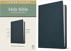 Image of NLT Large Print Thinline Reference Bible