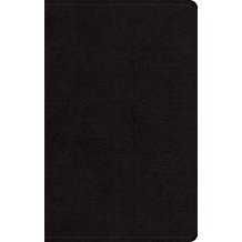 Image of ESV Large Print Personal Size Bible -Black