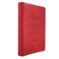 Image of Bible for Brave Boys: New Life Version