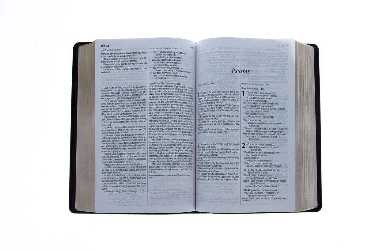 202-0031 Product Image 4