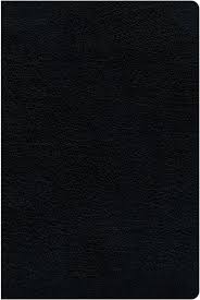Image of KJV, Amplified, Parallel Bible, Large Print, Bonded Leather, Black