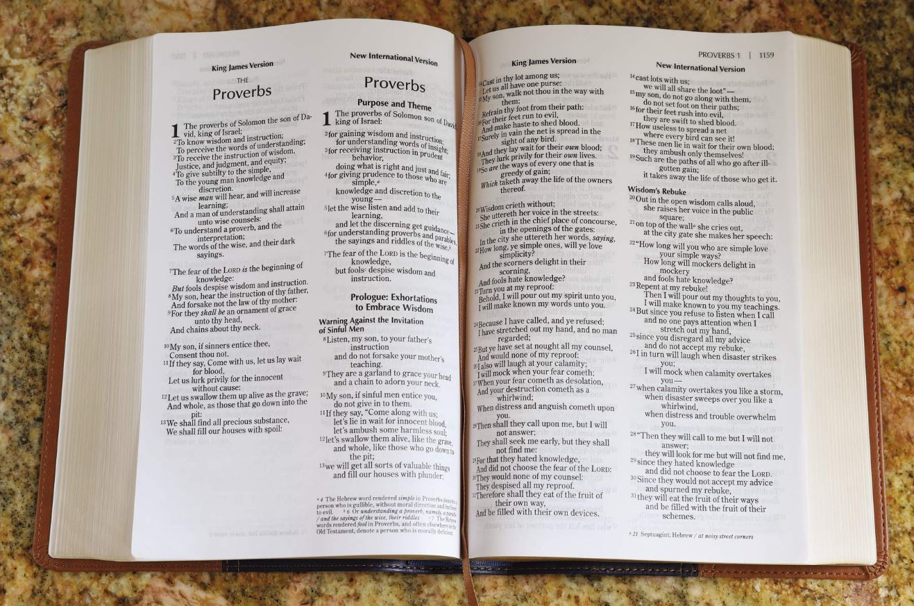 Product 202-0049 - View 6 202-0049 Product Image 6