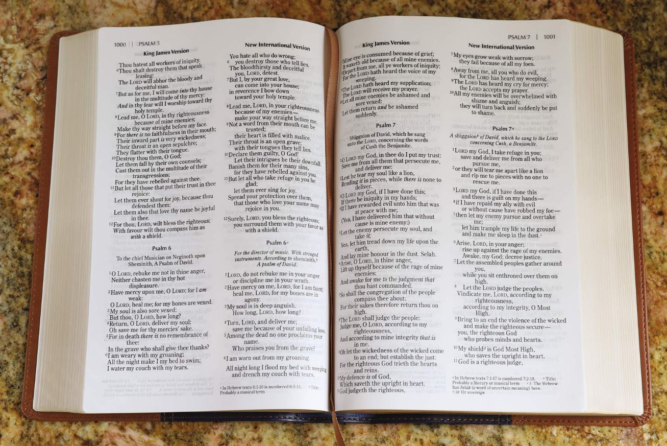 Product 202-0049 - View 7 202-0049 Product Image 7