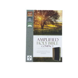 Image of Amplified Holy Bible, Compact, Imitation Leather, Tan/Burgundy