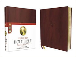 Image of Amplified Holy Bible, XL Edition–Soft Leather-look, Burgundy