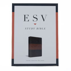 Image of ESV Study Bible-Forest/Tan Trail Design TruTone