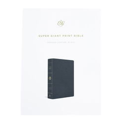 Image of ESV Super Giant Print Bible -Black