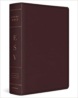Image of ESV Study Bible, Large Print -Bonded Leather, Burgundy