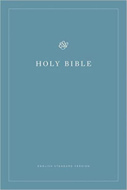 Image of ESV Economy Bible Blue Softcover