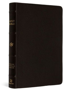 Image of ESV Compact Bible -Buffalo Leather, Deep Brown