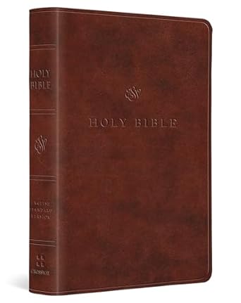 Image of ESV Value Large Print Compact Bible (Trutone, Chestnut)