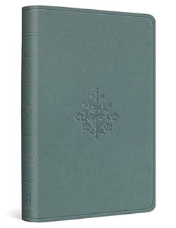 Image of ESV Value Compact Bible (Trutone, Paris Sky, Branch Design)
