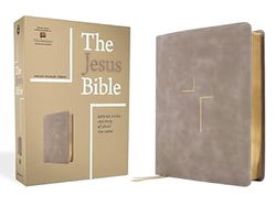 Image of ESV The Jesus Bible, Stone Leathersoft