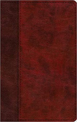 Image of ESV Large Print Thinline Bible Burgundy/Red