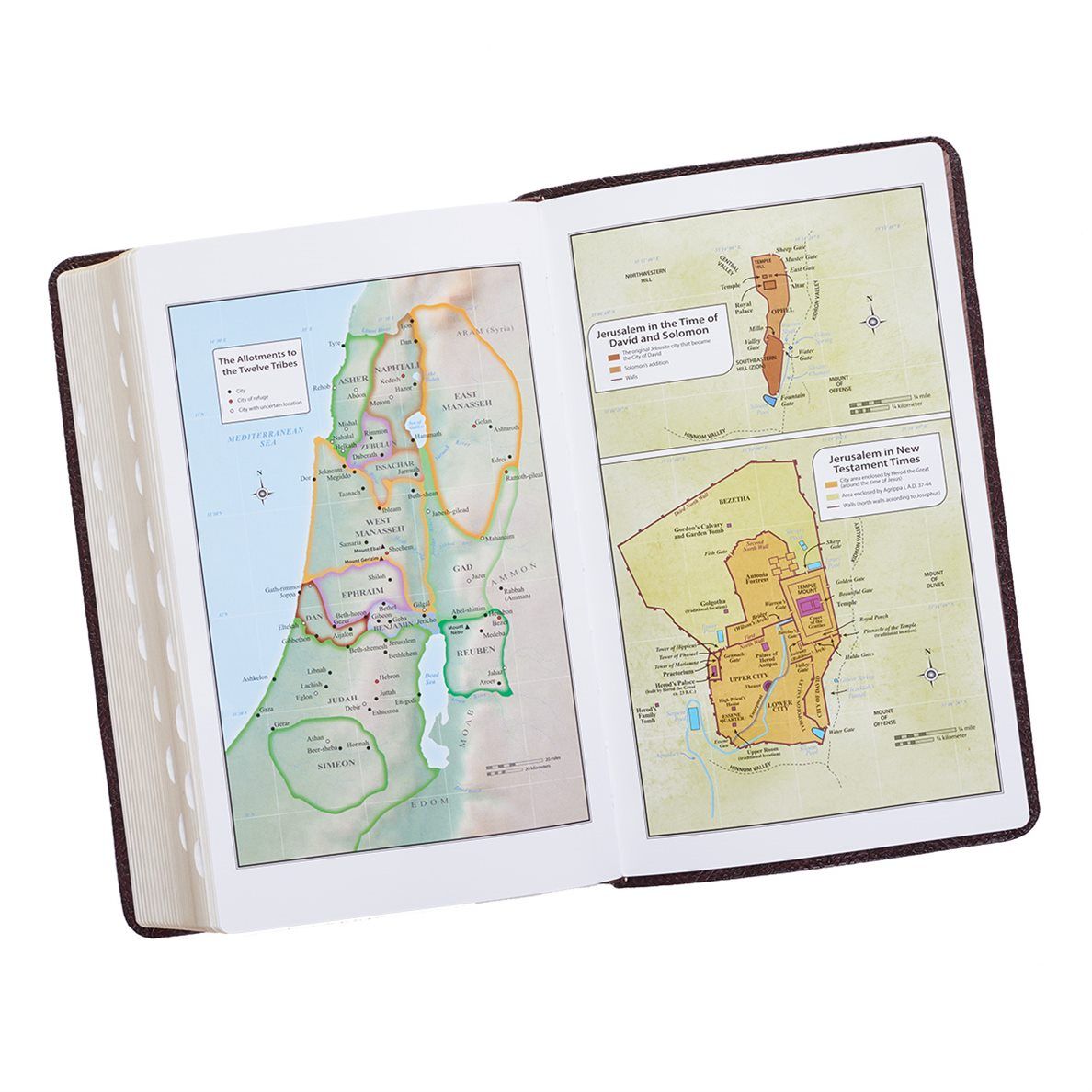 206-0093 Product Image 7