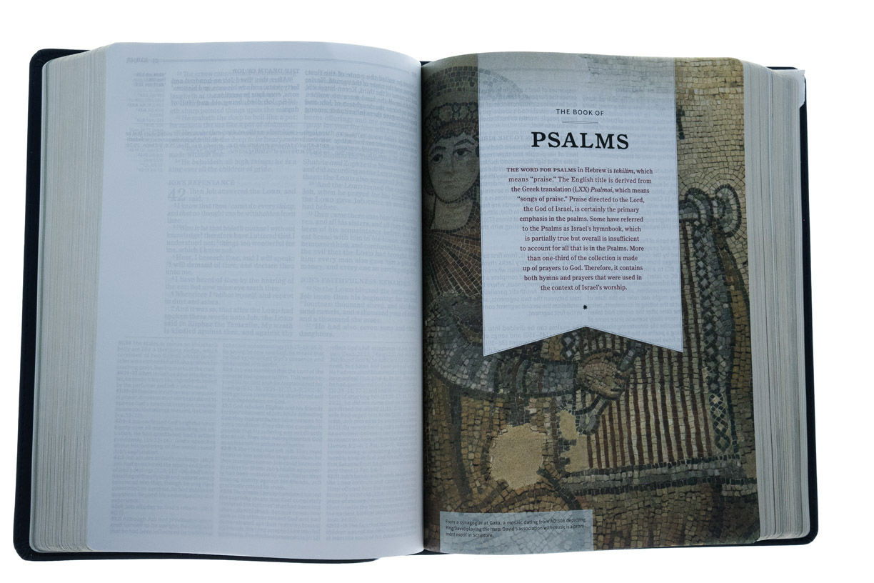 Product 206-0172 - View 5 206-0172 Product Image 5