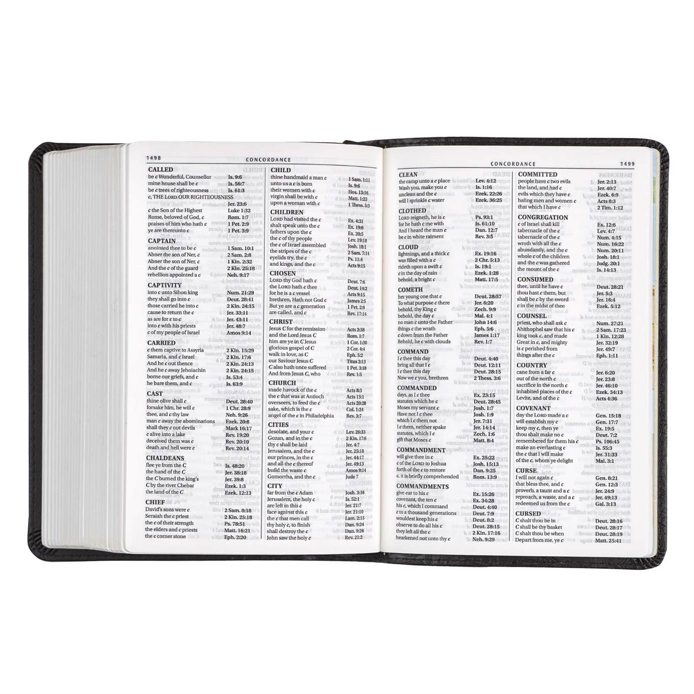 Product 206-0558 - View 10 206-0558 Product Image 10