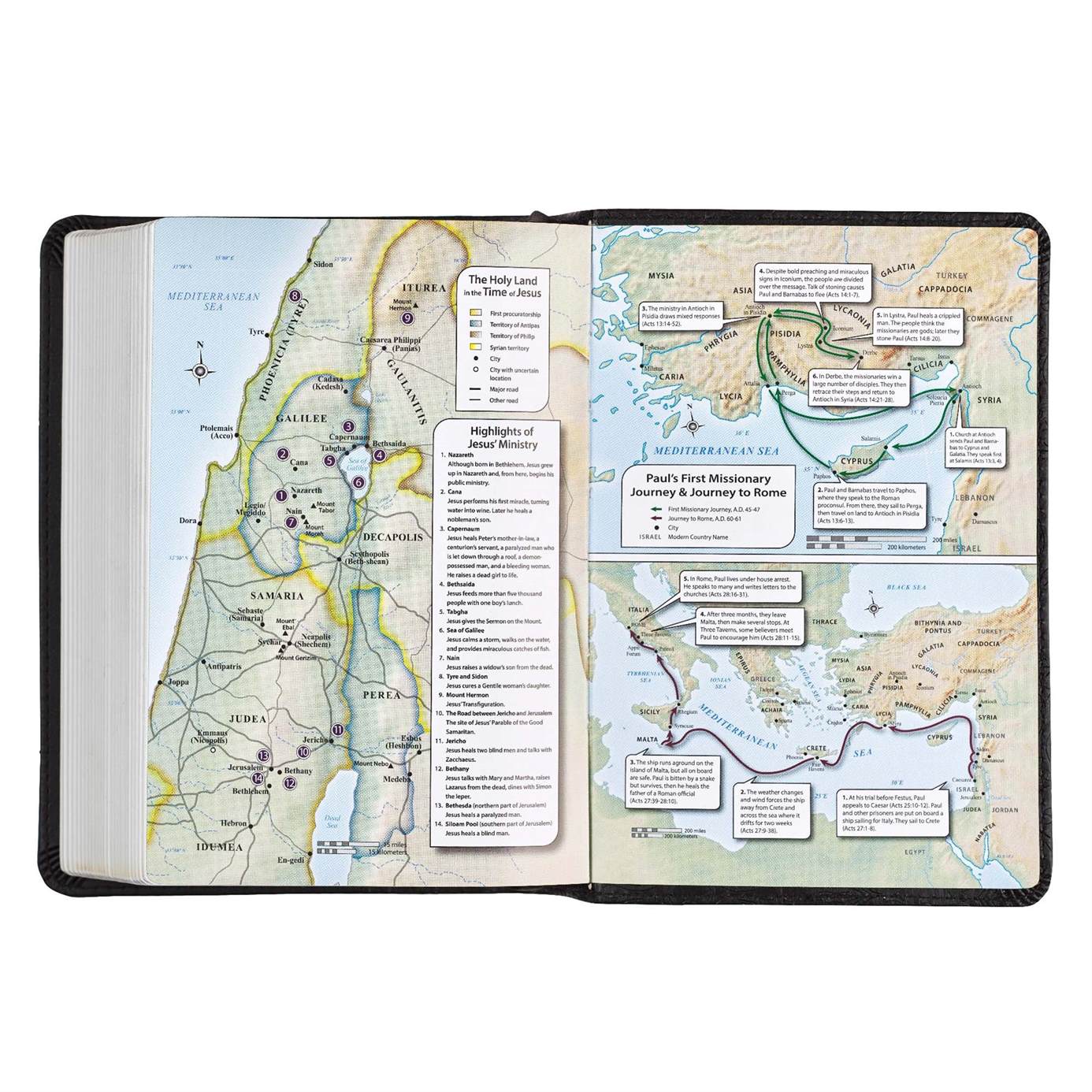 Product 206-0558 - View 11 206-0558 Product Image 11