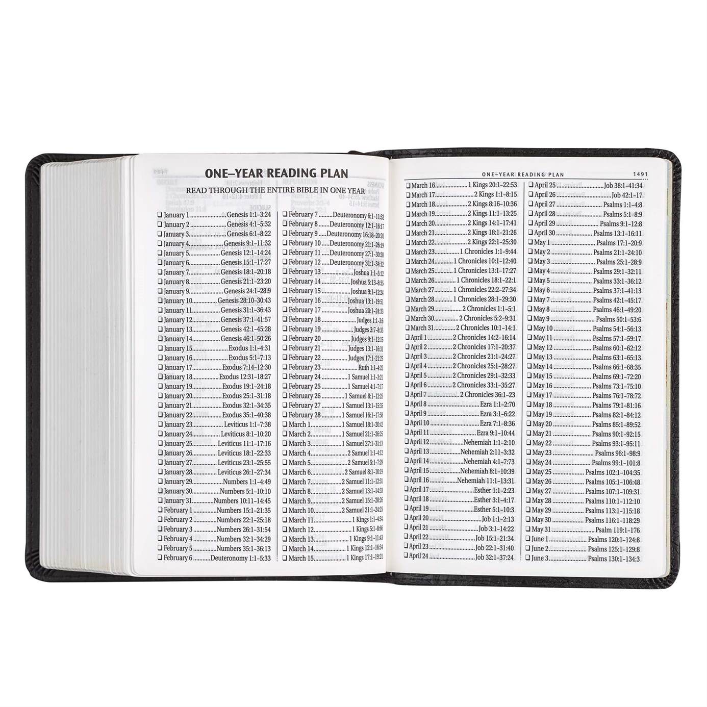 Product 206-0558 - View 9 206-0558 Product Image 9