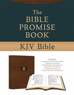 Image of KJV Bible Promise Book KJV Bible Hickory Diamond