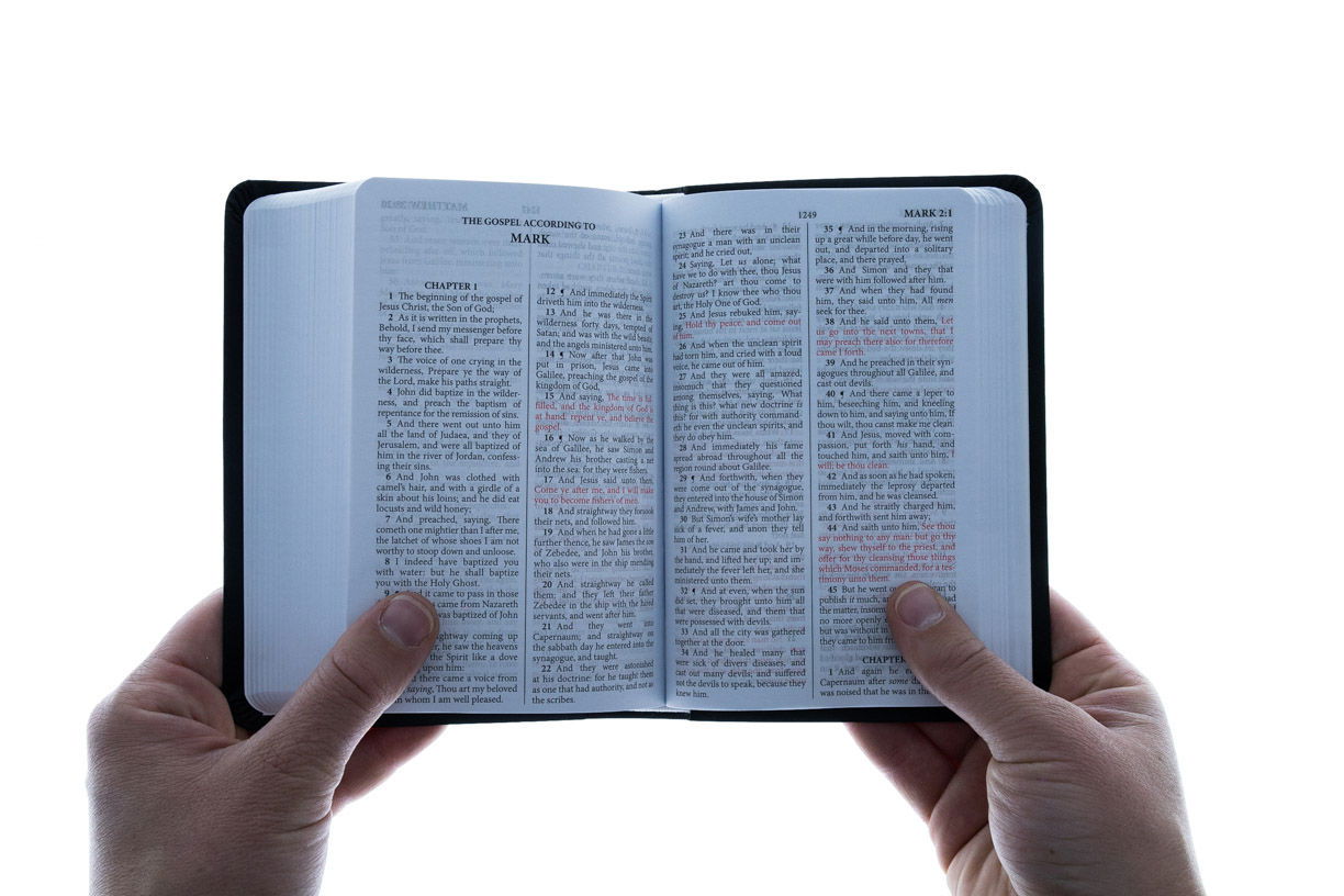 Product 206-0679 - View 3 206-0679 Product Image 3