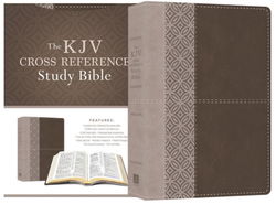 Image of KJV Cross Reference Study Bible [Stone]