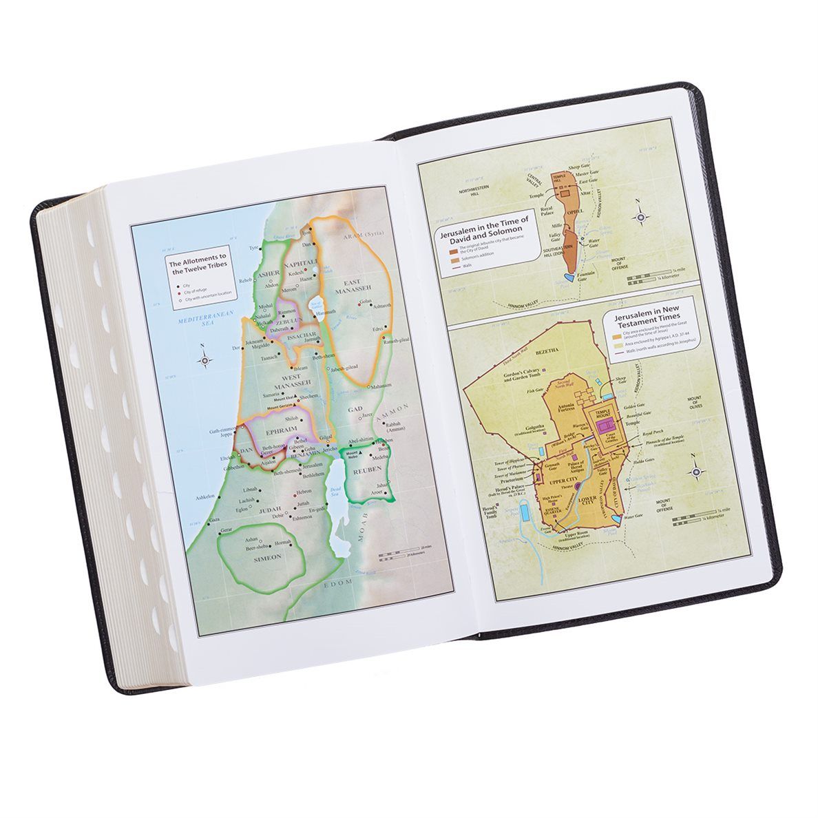 206-0797 Product Image 7