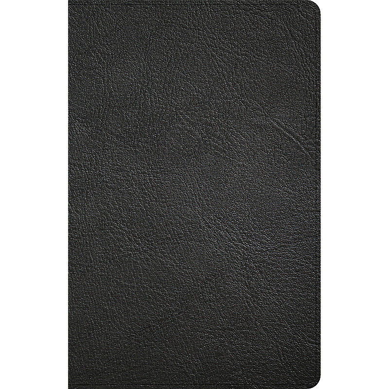 Product 206-0915 - View 1 206-0915 Product Image 1