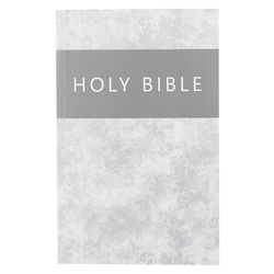 Image of KJV Silver Damask Softcover Outreach Bible