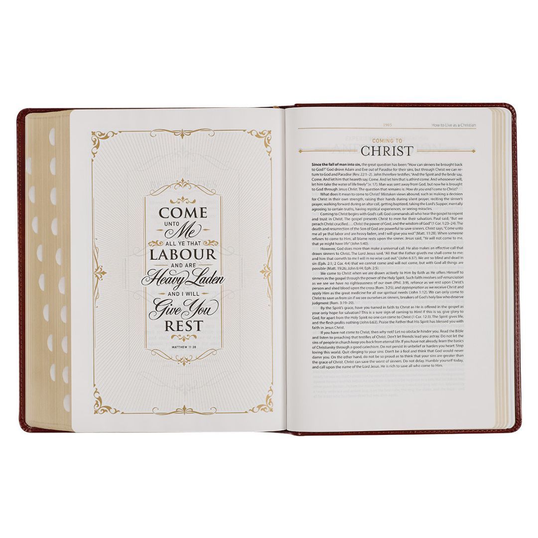 206-1000 Product Image 6