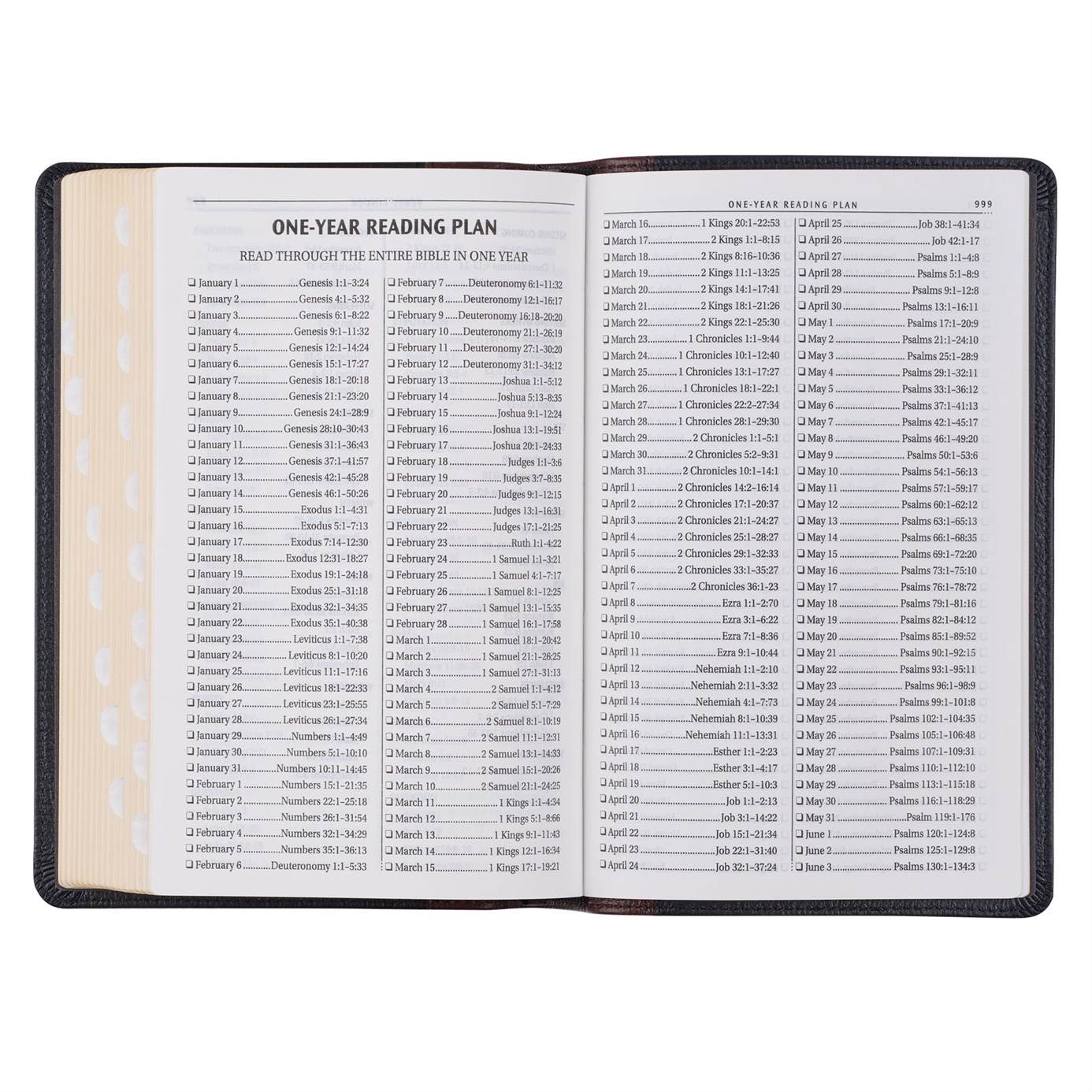 Product 206-1016 - View 10 206-1016 Product Image 10