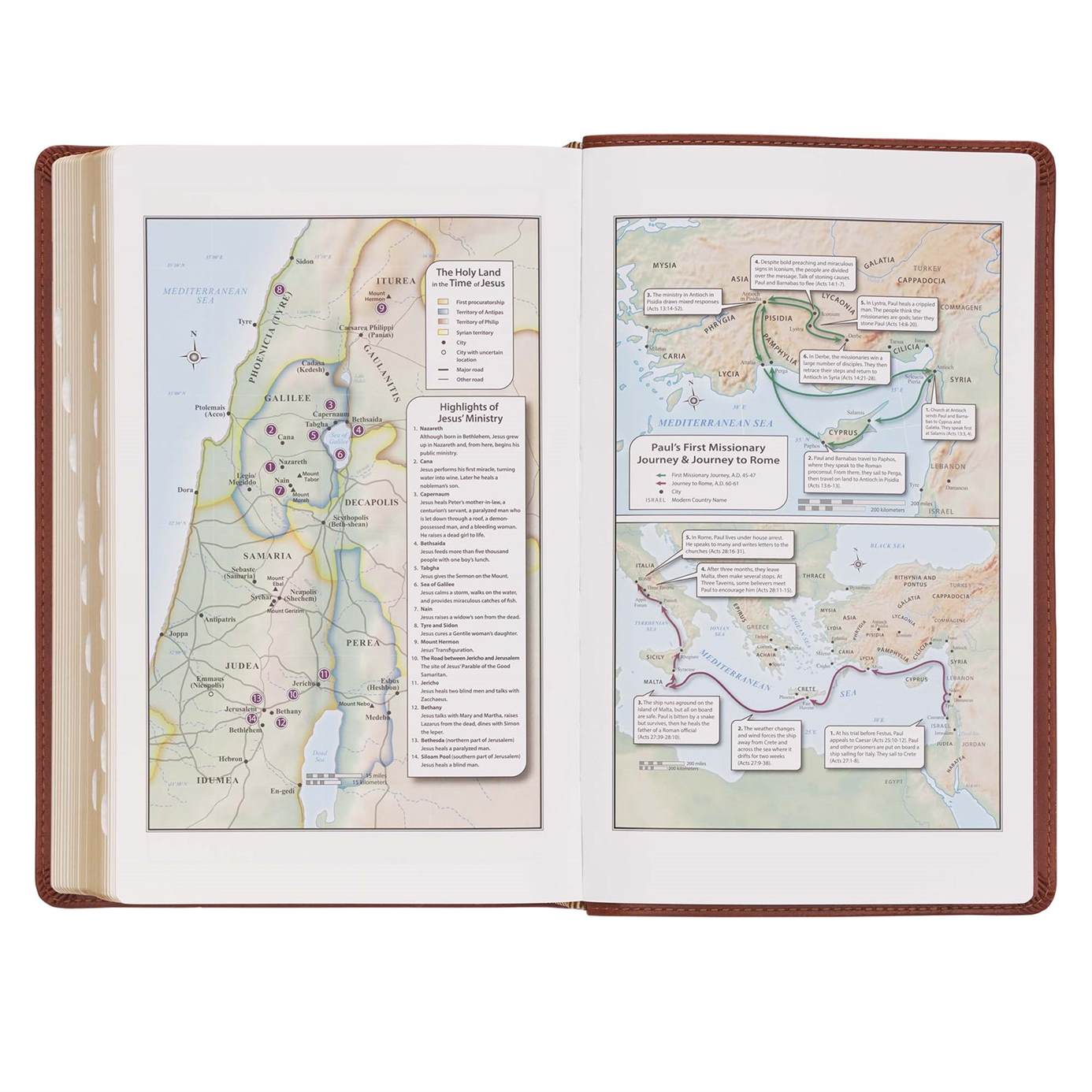 Product 206-1083 - View 10 206-1083 Product Image 10