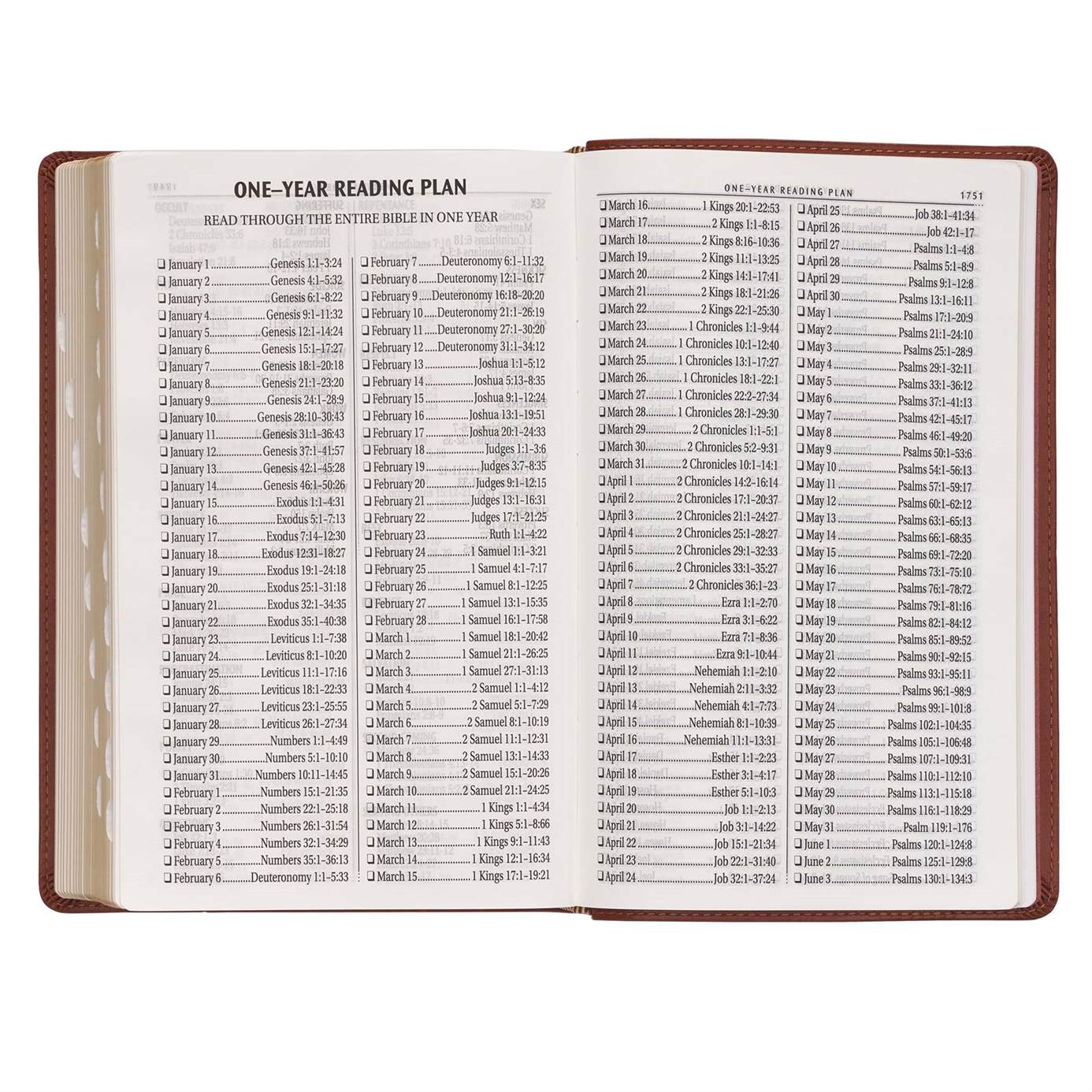 Product 206-1083 - View 8 206-1083 Product Image 8