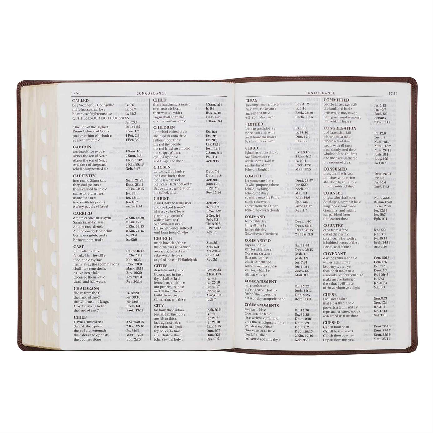 Product 206-1086 - View 10 206-1086 Product Image 10