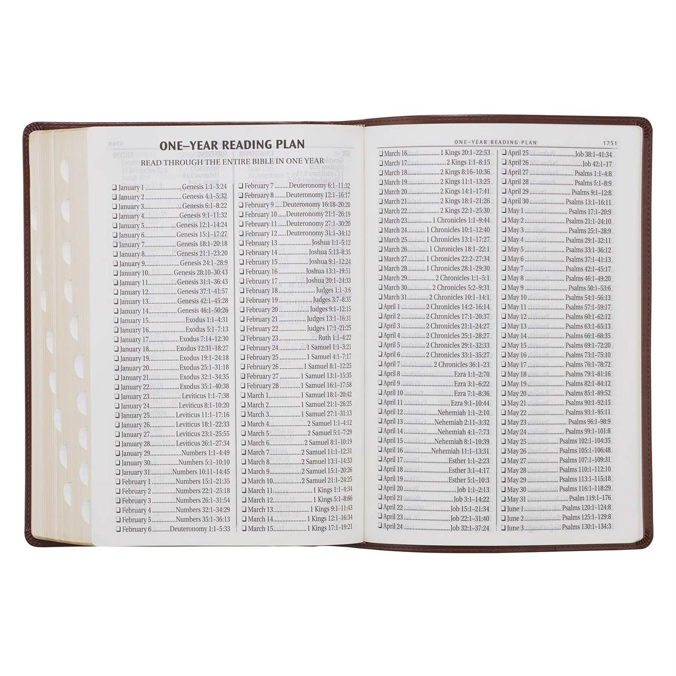 Product 206-1086 - View 9 206-1086 Product Image 9