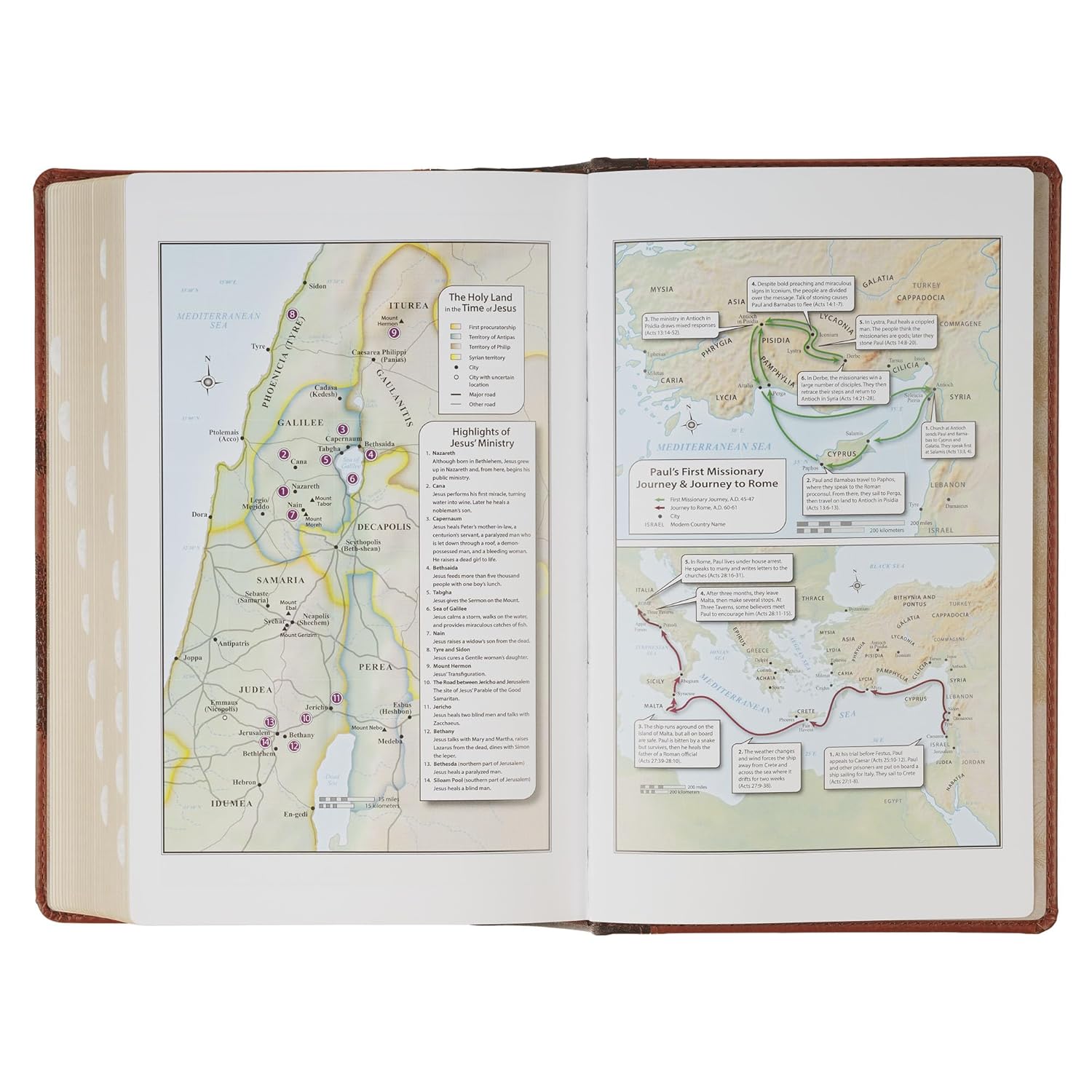 Product 206-1237 - View 10 206-1237 Product Image 10