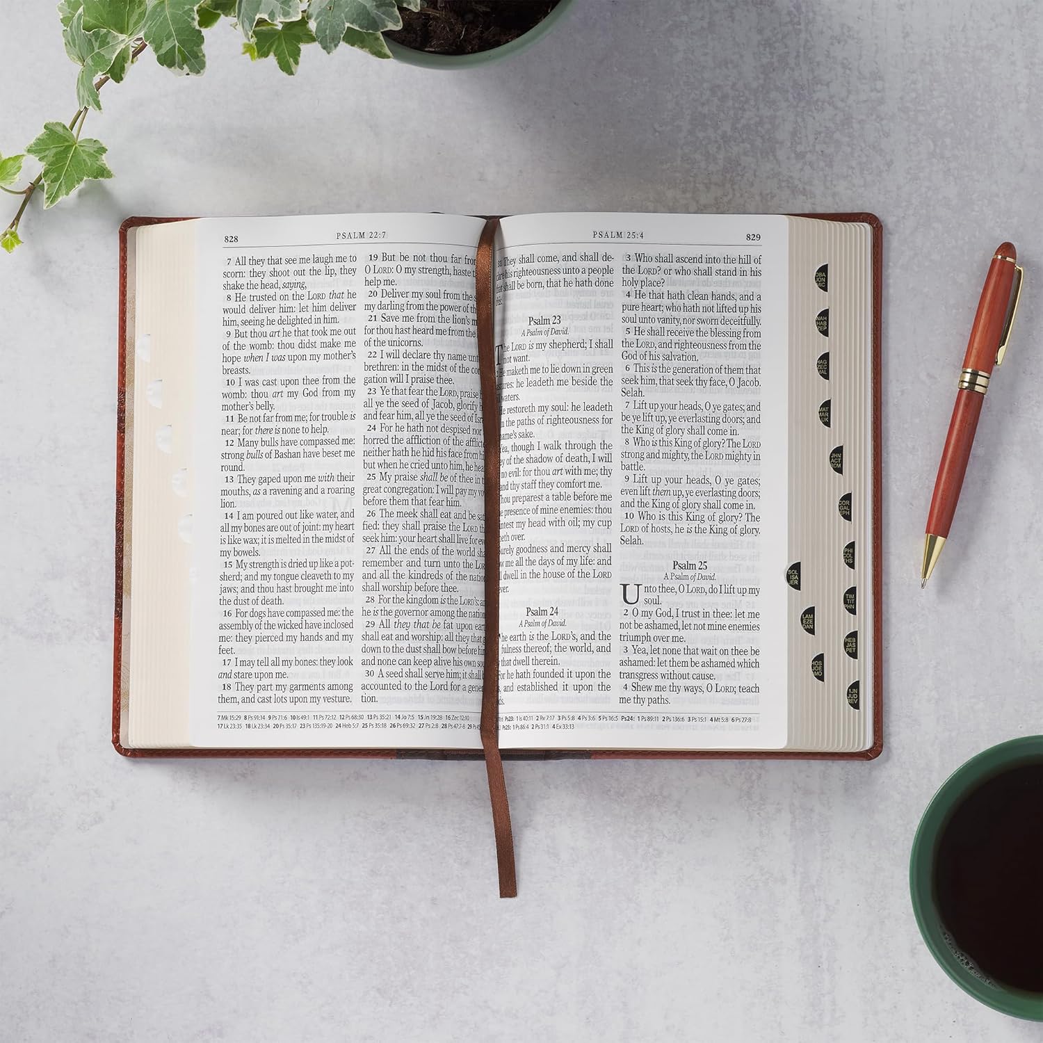 Product 206-1237 - View 12 206-1237 Product Image 12