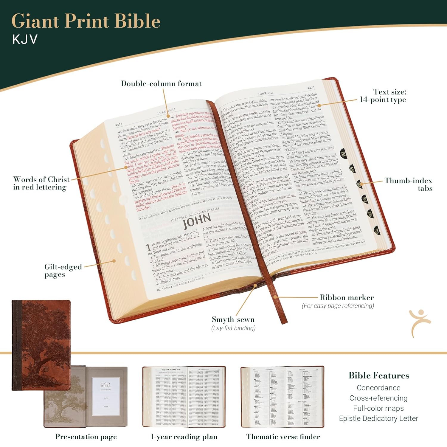 Product 206-1237 - View 2 206-1237 Product Image 2