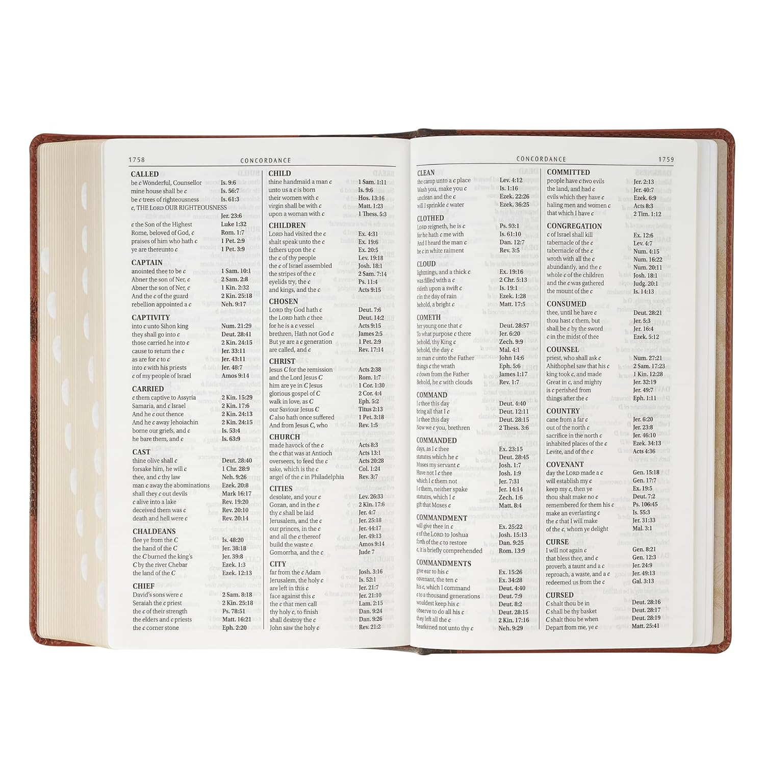 Product 206-1237 - View 6 206-1237 Product Image 6