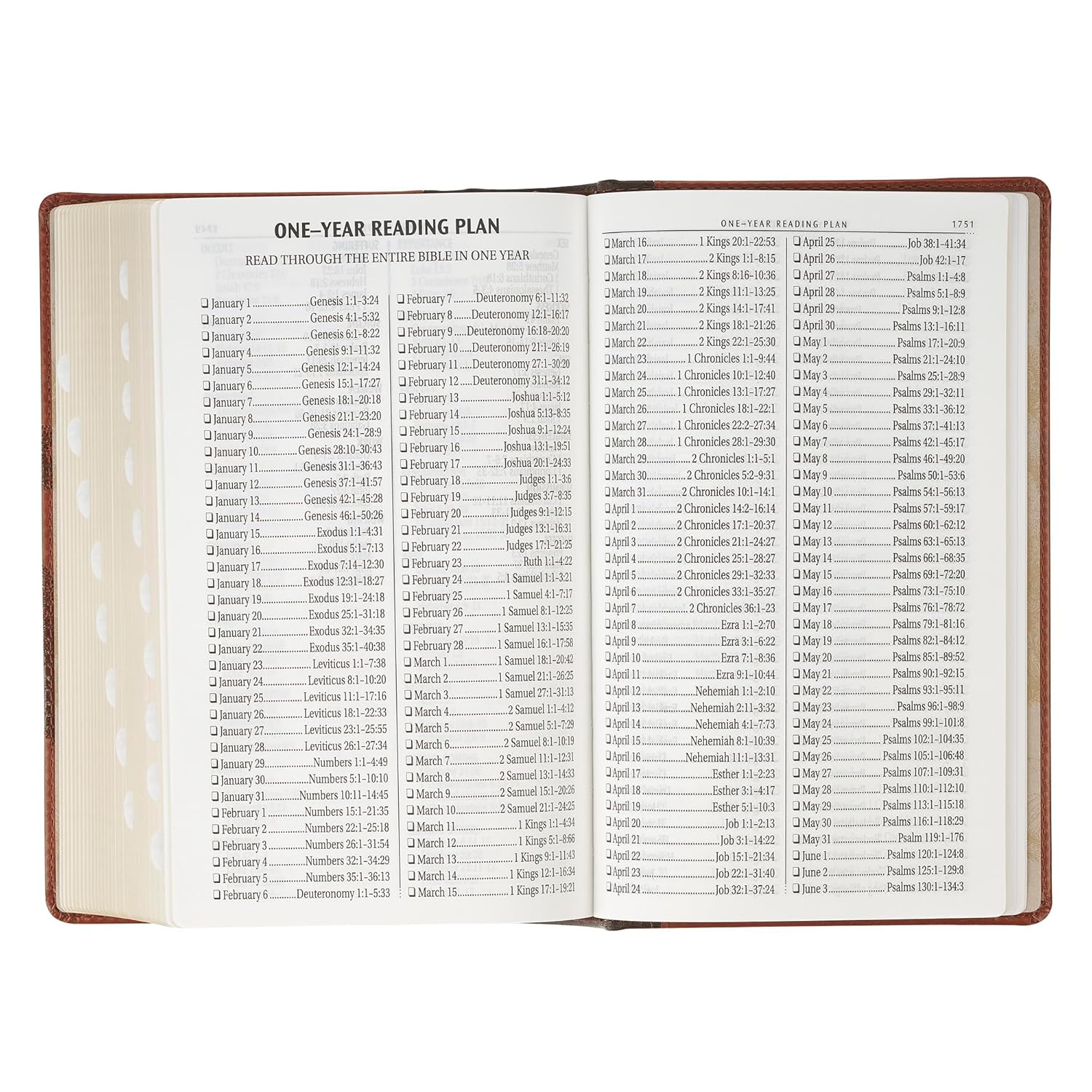 Product 206-1237 - View 7 206-1237 Product Image 7