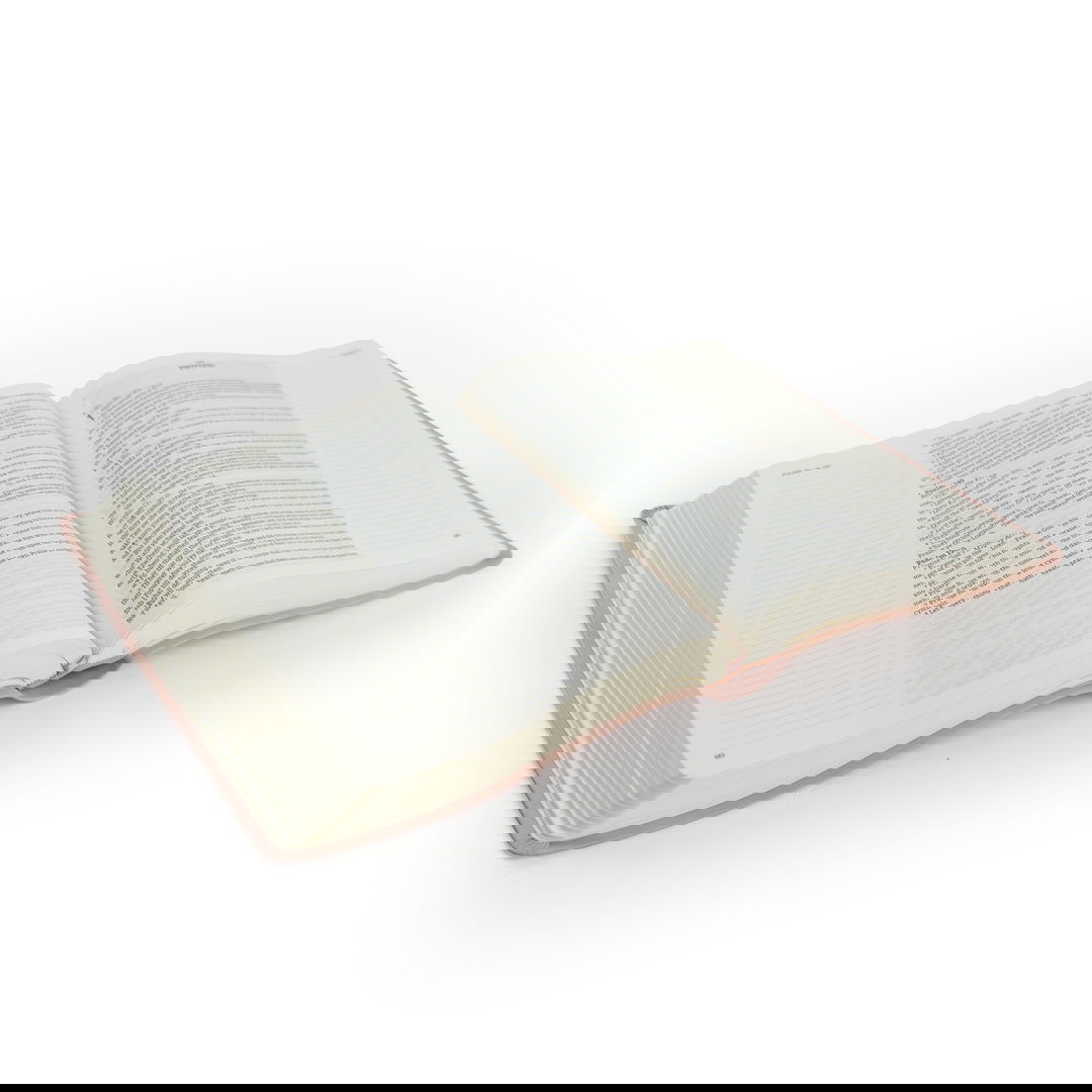 206-1258 Product Image 6