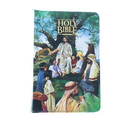 Image of KJV Seaside Bible Hardcover with Zipper