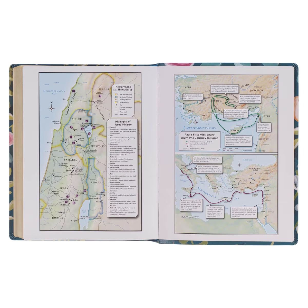 206-2203 Product Image 3