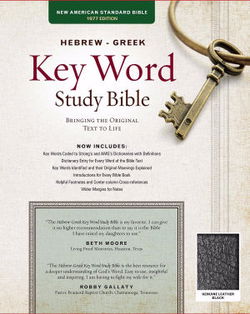 Image of NASB Bible Hebrew Greek Key Word Study Leather