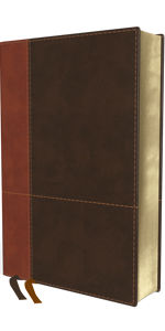 Image of NIV, Personal Size Reference Bible, Large Print, Imitation Leather Indexed