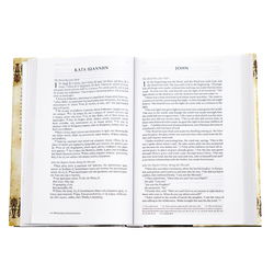 Image of NIV Greek and English New Testament